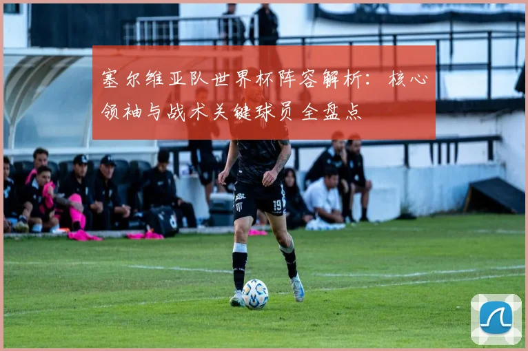 塞尔维亚队世界杯阵容解析：核心领袖与战术关键球员全盘点