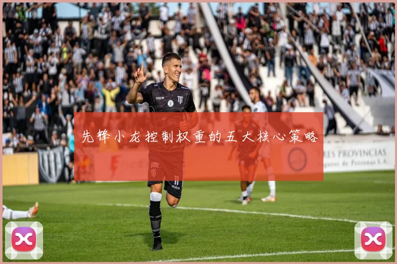 先锋小龙控制权重的五大核心策略