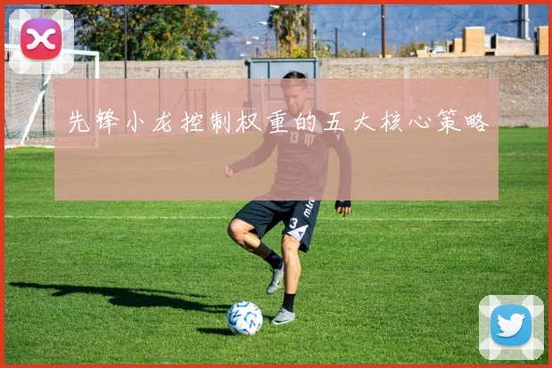 先锋小龙控制权重的五大核心策略